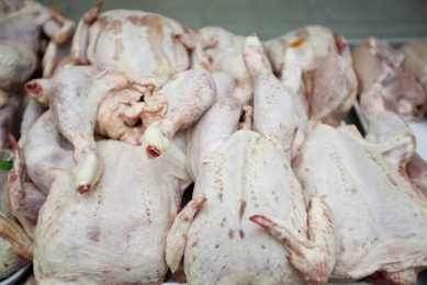 Scottish Govt funds 2 Sisters  Coupar Angus poultry facility. Photo: Mood Board/REX/Shutterstock