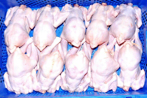 Ukraine doubles its frozen poultry meat production