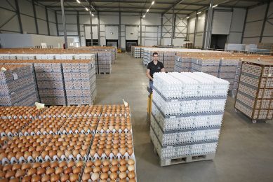 The move to shut UK schools just days before pupils were due to go back for the Easter term is leaving producers with huge numbers of spare eggs. Photo: Ton Kastermans