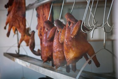 Chicken consumption is forecast to increase to 16.1 MMT in 2020 as Chinese consumers seek substitutes for pork. This is a 15.5% increase from 2019. Photo: e æf