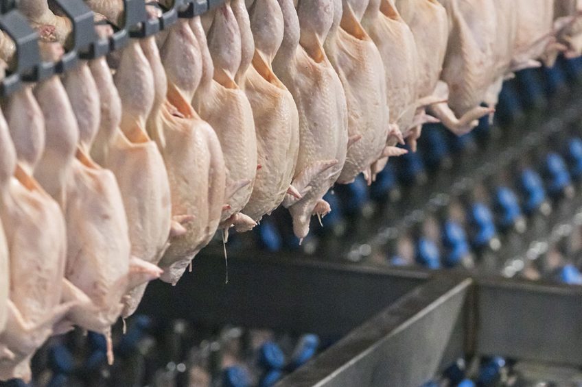 Over 19% of all poultry meat exported from Brazil is destined for China. Photo: Koos Groenewold