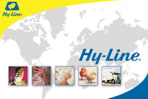 Hy-Line International invests in Indian egg market