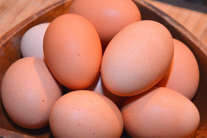 The outbreak was traced to a farm in North Carolina owned by Rose Acre Farms of Seymour, Indiana, which is said to be the second largest egg producer in the US. Photo: Chris McCullough