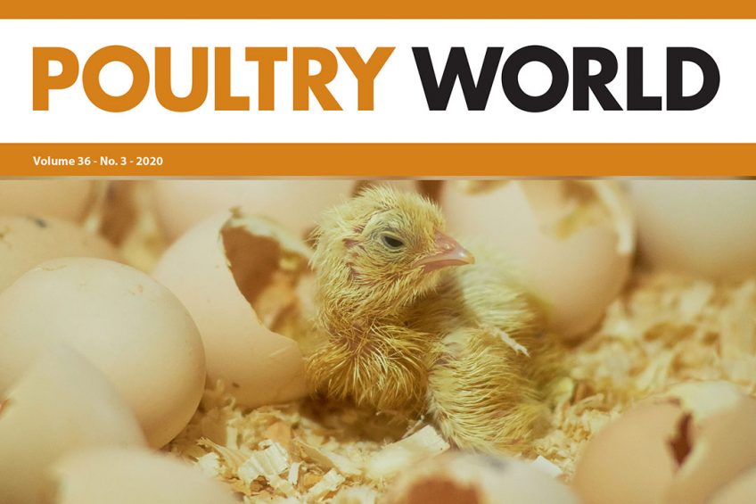 3rd edition of Poultry World 2020 is now online