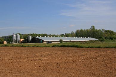 One of the broiler farms now operating as a pullet rearing site. Photo: Poultry World