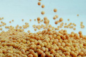 Turkey imported 2.6 million MT of soybeans and soybean meal in 2014, up  to 500,000 MT more soybeans will be needed when the new regulations come  into place.