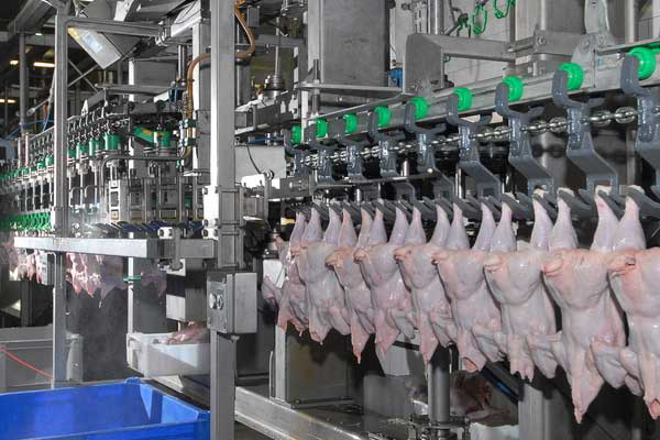 Birds Eye plant gets new lease of life as poultry processor