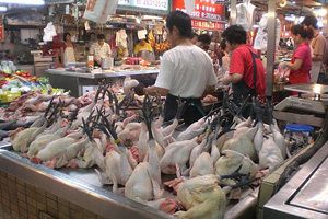 Live poultry killings to be banned in Taiwanese markets