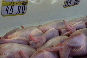 Kazakhstan poultry farmers lament lack of state support