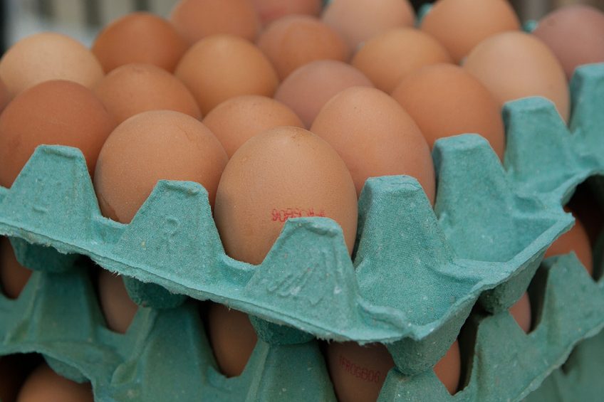 Egg prices have soared as a result of the culling of millions of birds in South Korea. Photo: Jacqueline Macou