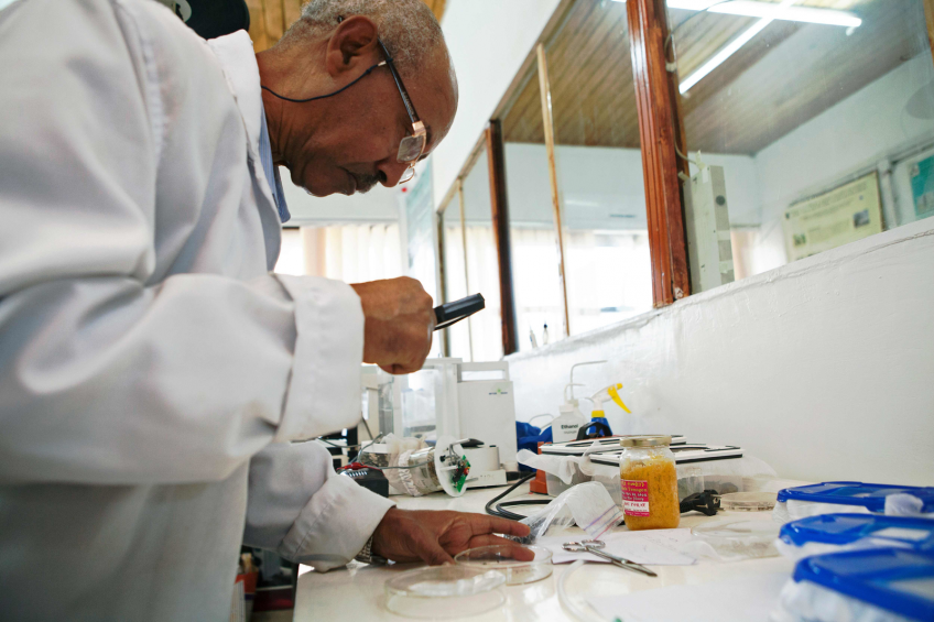 Medical entomologist and vector biologist at the department of Zoological Sciences of Addis Ababa University Dr Habte Tekie examines a specimen at his laboratory in Addis Ababa on July 25, 2016. <em>Photo: Zacharias Abubker