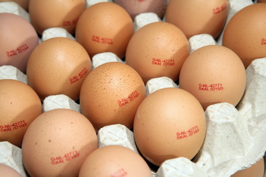 Farmer accused of £230k egg fraud. Photo: Henk Riswick