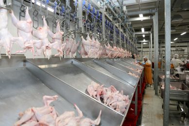 Rising oversupply and AI worry Russian poultry industry. Photo: Vladislav Vorotnikov