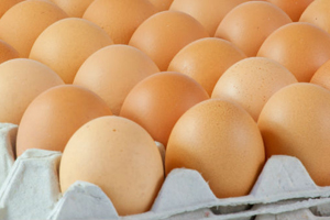 US egg production manager guilty of bribery