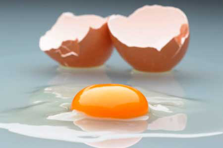 Processed egg to be scrutinised for authenticity