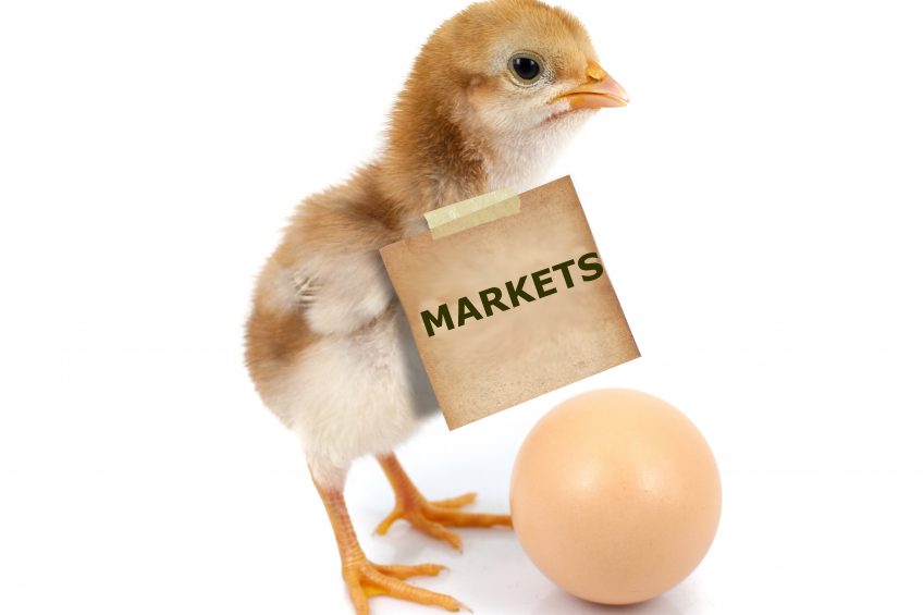 Rabobank: Massive global poultry trade shake-up. Photo: Shutterstock