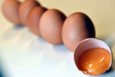 Fiprinol egg scandal reinforces need for egg sourcing review. Photo: Eric Lalmand/REX/Shutterstock