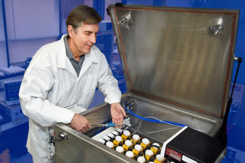 Scientists find new way to pasteurise eggs. Photo: Joseph Sites USDA