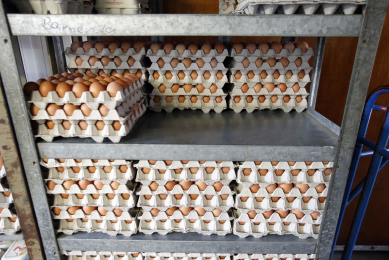 Iran to export eggs and egg products to Russia