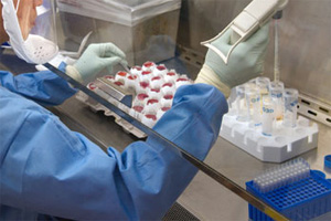Modified test simplifies poultry disease detection