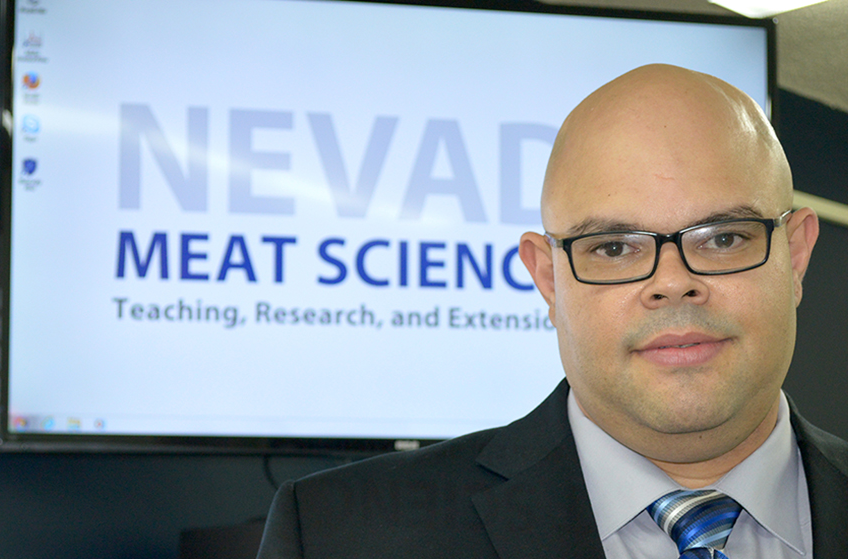Reducing Salmonella in meat products by 90%