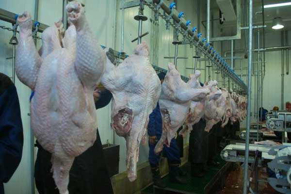 US turkey industry supports inspection changes