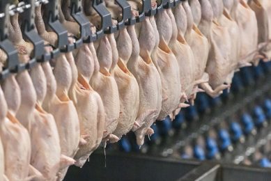 British Poultry Council joins FSA to combat Covid-19
