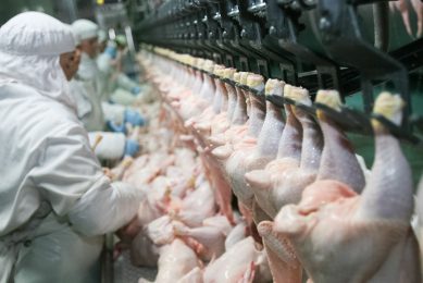 Fewer people are willing to do boring and heavy work in cooled processing facilities in which products such as chicken are processed. Photo: Shutterstock