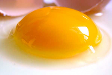 Ukrainian processed eggs to enter the EU market