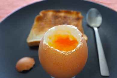 Free toolkit to help promote British Egg Week. Photo: Chameleons Eye/REX/Shutterstock