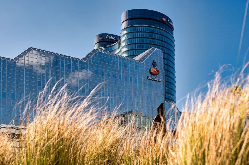 Agricultural bank Rabobank foresees a difficult 2021 for the poultry industry. Photo: ANP