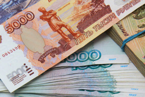 Russian bank finances Cherkizovo turkey project