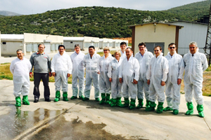 Hubbard F15 proving its worth on Turkish poultry farm