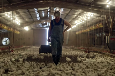 Unfair portraying of chicken production