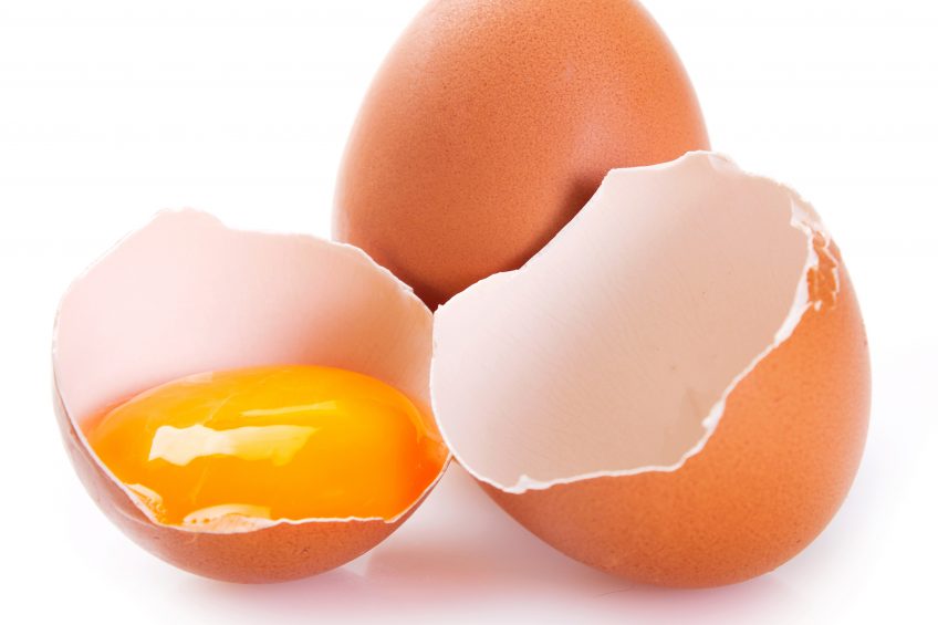 Eggshell cuticle the focus of joint research project. Photo: Shutterstock