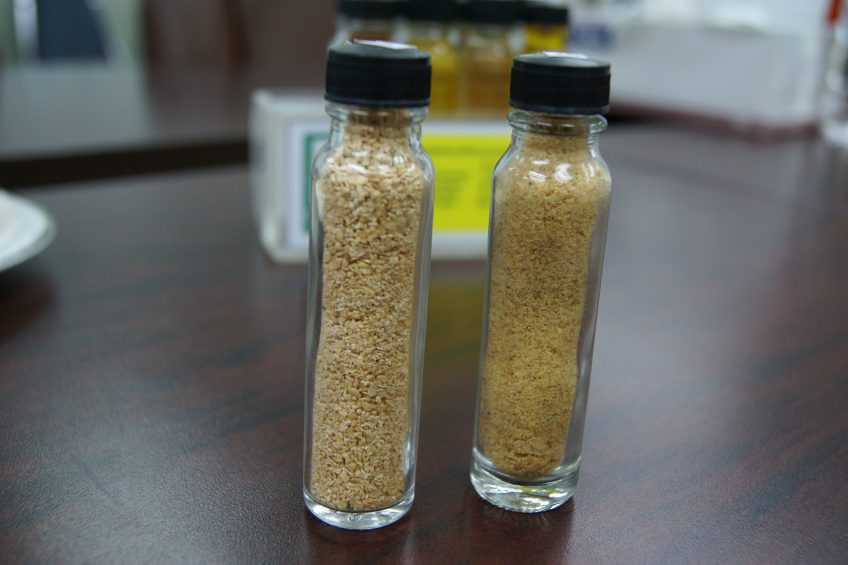 Recent Biomin Mycotoxin Survey data shows that of 298 soybean meal samples analysed, 61% tested positive for deoxynivalenol, 49% contained zearalenone and 46% contained aflatoxins.. Photo: Emmy Koeleman