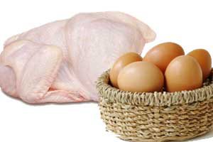 Indian chicken & egg prices soar