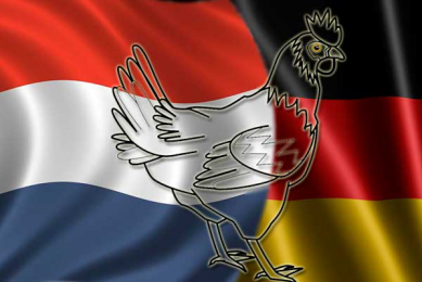 Belarus restricts Dutch and German poultry imports