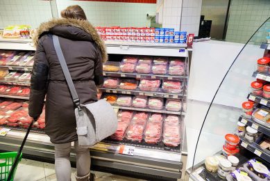 Supermarket chain Morrisons is working with its farmers to introduce the Redbro chicken into the UK at a lower stocking density. Photo: Joris Telders