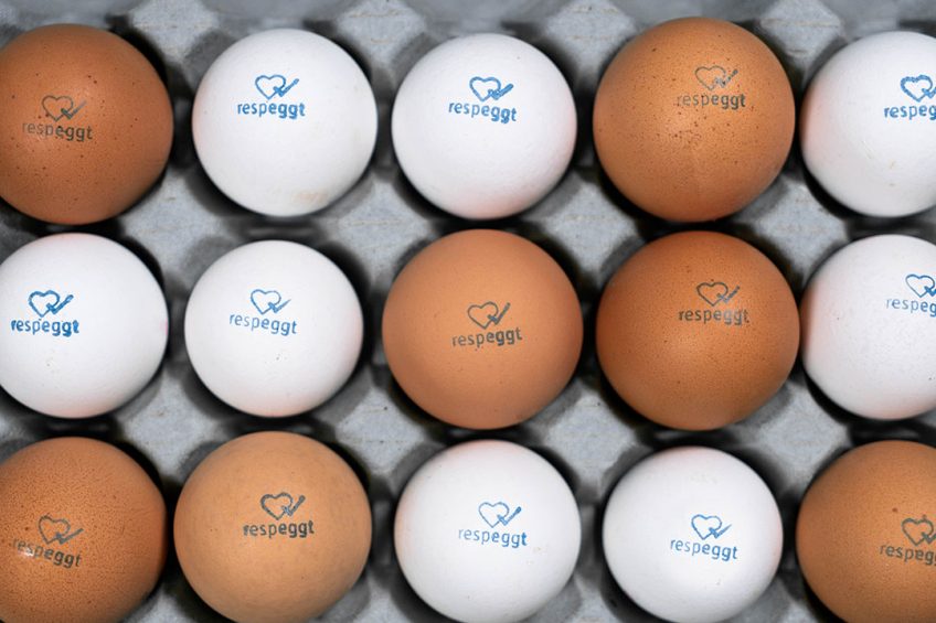 Respeggt markets the eggs under its own special brand. In this way the consumer covers the extra cost of sexing the eggs. Photo: Seleggt