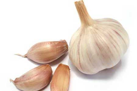 Effect of garlic supplementation in poultry diets