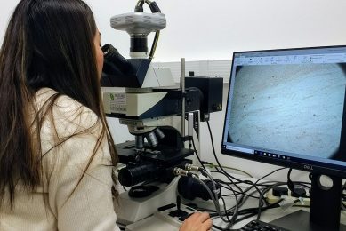 Karina Santiago Gonzalez, a PhD student at Newcastle University, is looking at a screen showing an image of activated brain cells in a chicken brain. Photo: Dick van Doorn