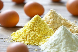 EW Nutrition explores use of egg powder in animal diets