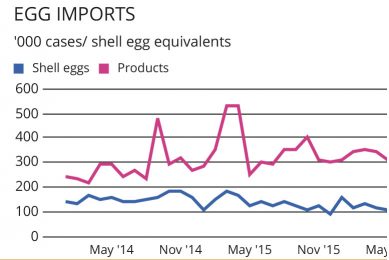 MARKETS: Egg prices firm despite summer lull