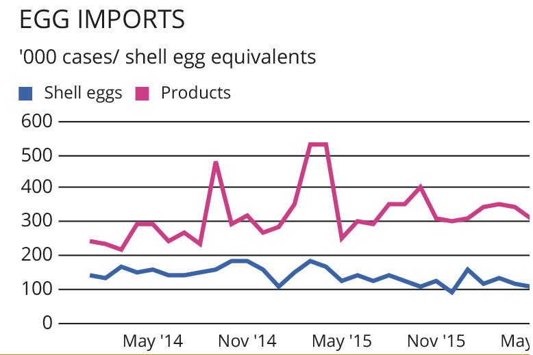 MARKETS: Egg prices firm despite summer lull
