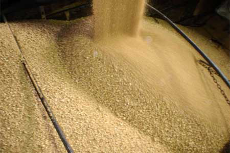 USSEC conducts soybean meal seminars and more
