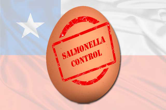 Chile to implement national salmonella control for eggs