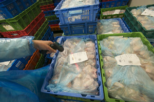 Irish poultry exports up 20%