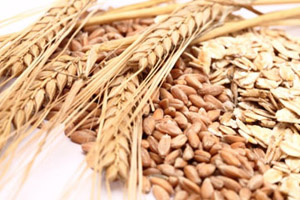 Study: Wheat significantly improves FCR in turkeys