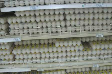 Israeli egg producers stop egg delivery